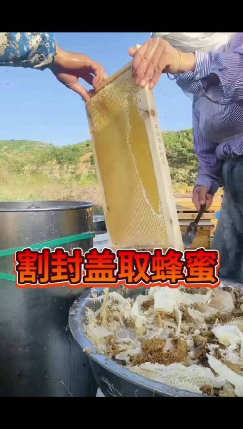 蜂蜜是很好的营养保健品，更是一味治病良药。中医认为，蜂蜜性味甘平，有补中益气、润肺止咳、缓急止痛、解
