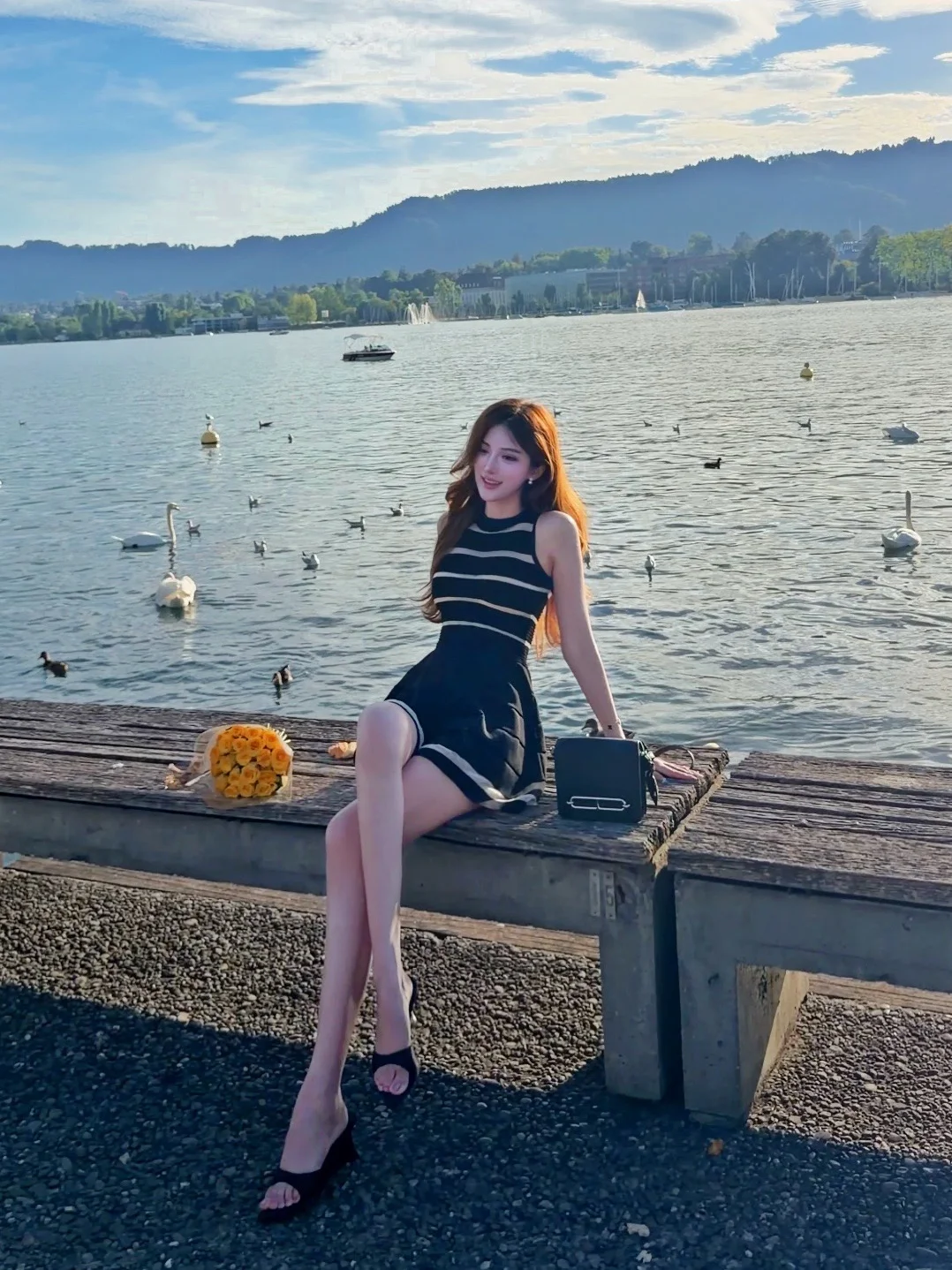来苏黎世喂肥鹅啦🦢