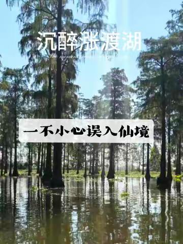 一不小心，误入仙境，养了眼，醉了心