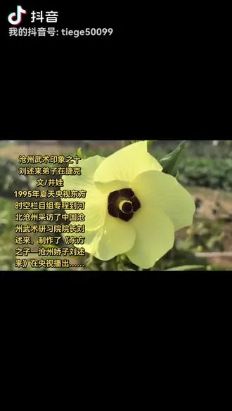 沧州武术印象之十 《刘述来弟子在捷克》 文/井娃 1995夏天，中央电视台东方时空栏目组专程到河北沧