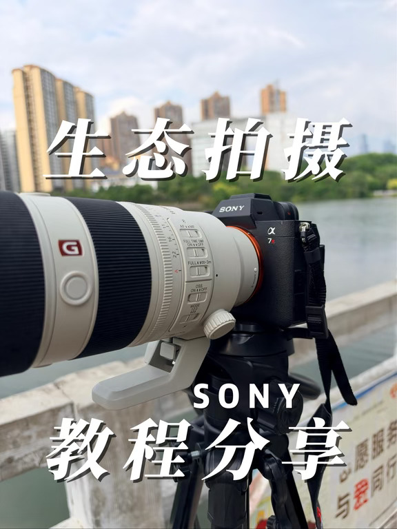 索尼相机生态拍摄｜新手必看📷
