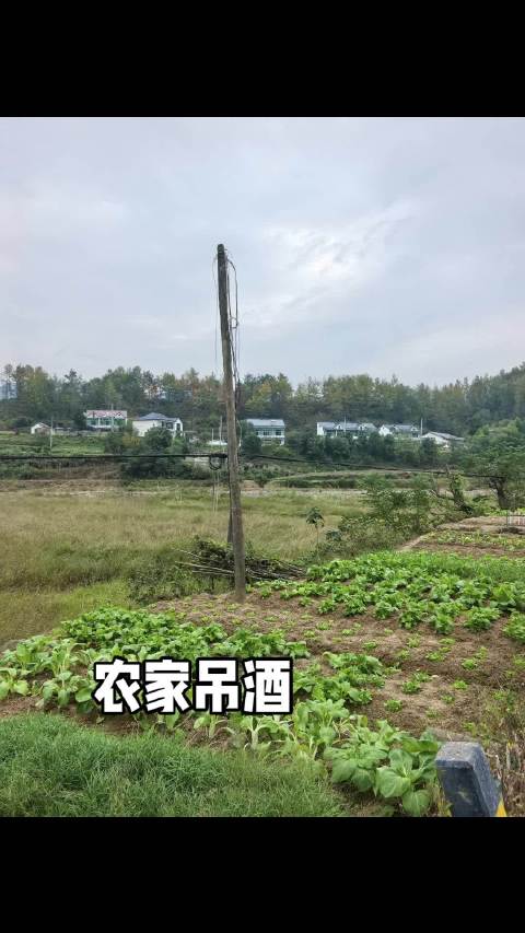 自己吊酒自己喝，怡然自得真快乐[笑cry][笑cry][笑cry]  ​​​