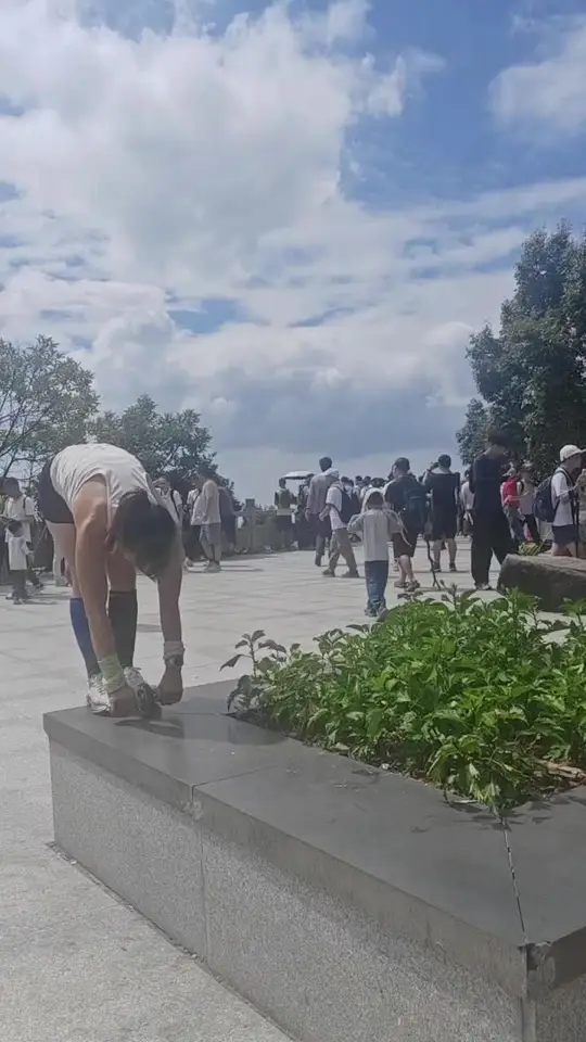 户外运动推轮