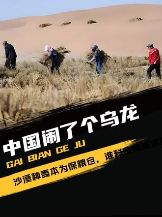 中国闹了个乌龙，沙漠种麦本为保粮仓，谁料金黄麦浪竟成治沙神器！