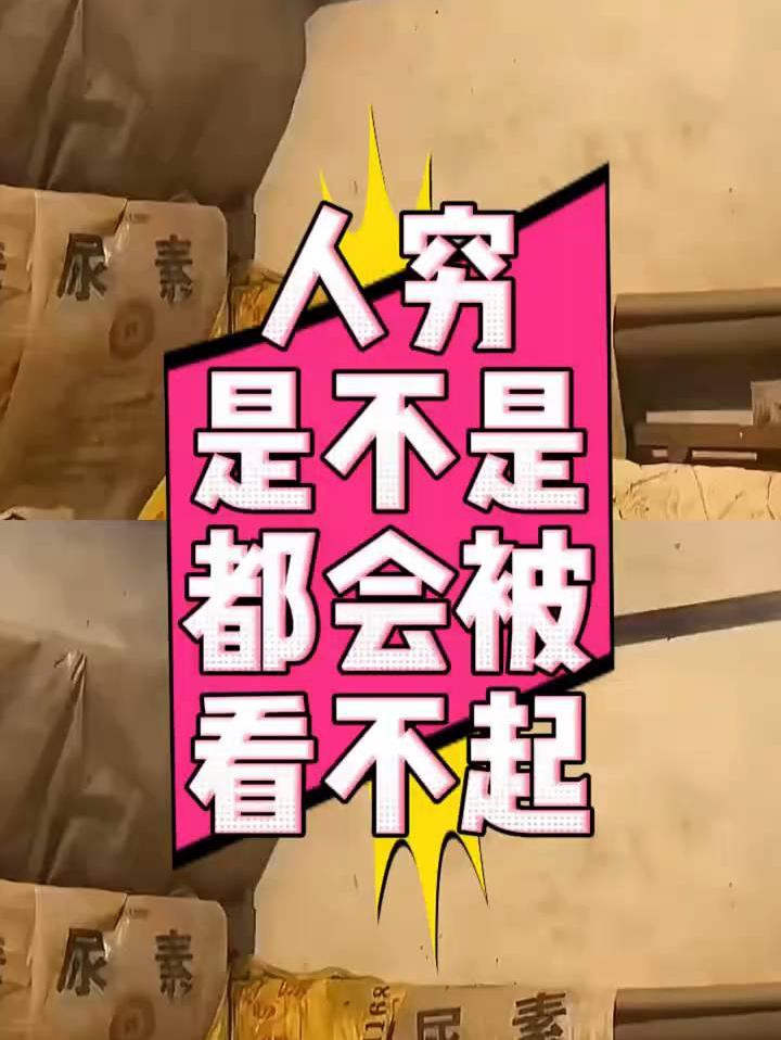 人穷是不是都被看不起