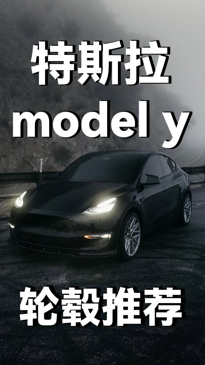 特斯拉modely最受欢迎前十锻造轮毂，你觉得咋样
