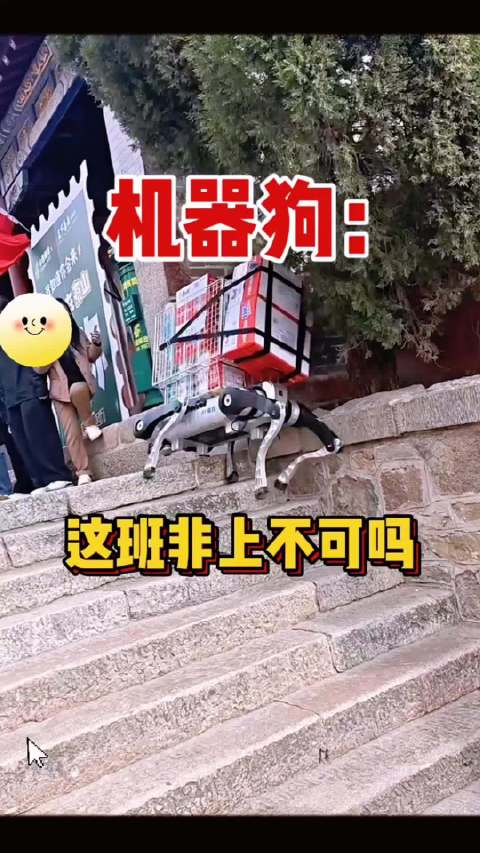 背着方便面上台阶，一步三晃，几个踉跄……看完这只爬山的机器狗，不禁感叹：原来打工的机器狗也不容易啊