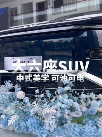 五菱星光L 十万级大六座SUV 2+2+2六座布局 可油可电插混，长途短途都不愁 家用版本10.98