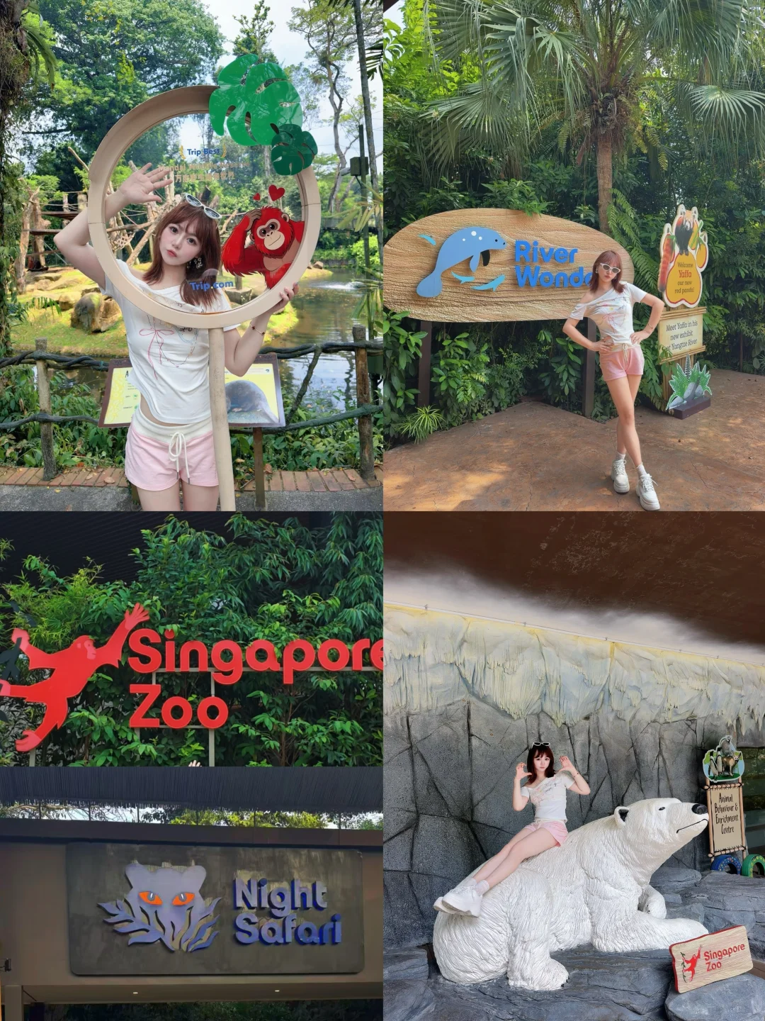 🇸🇬新加坡一日刷三园｜节奏舒服不赶路