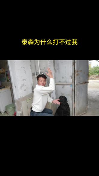 泰森为什么打不过我