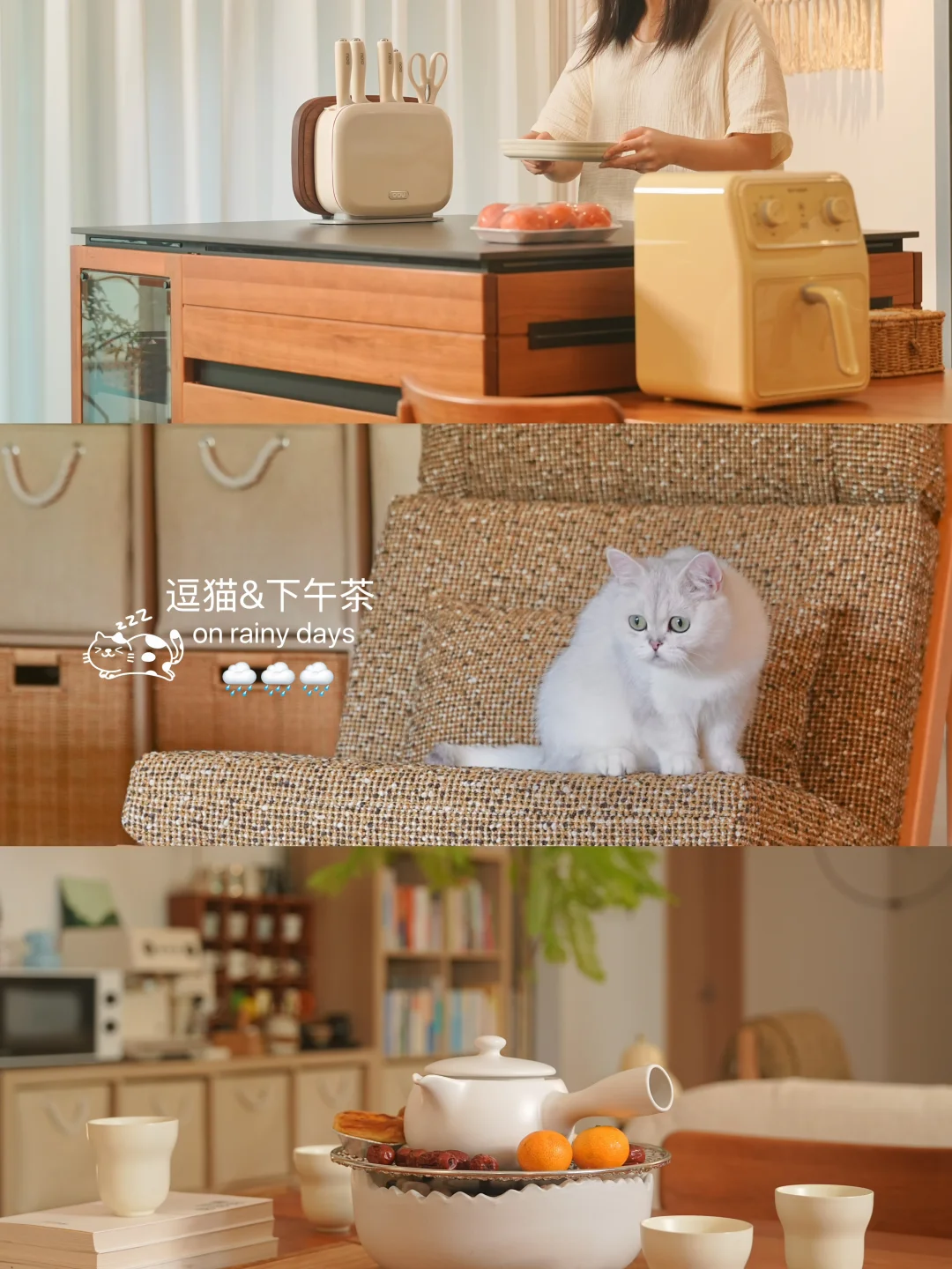 📖初秋小记，雨天宅家逗猫下午茶~
