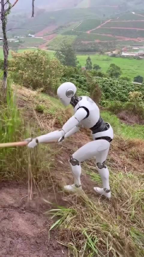 大家普遍认为Ai会让低端劳动力失业其实Ai最先冲击的是技术性不高的脑力劳动岗位