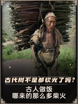古代树不是都砍光了吗？古人做饭，哪来的那么多柴火