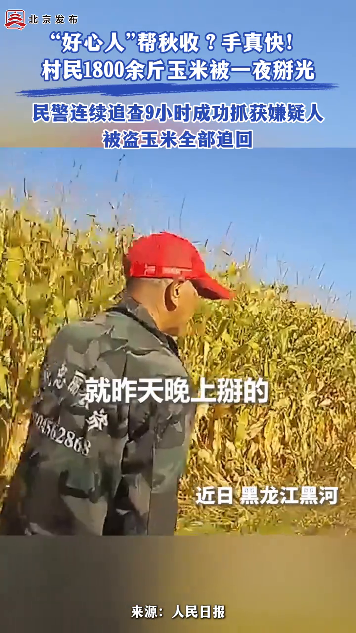 村民1800余斤玉米被一夜掰光，民警连续追查9小时抓获嫌疑人