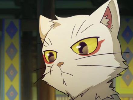 此猫是啥猫吗