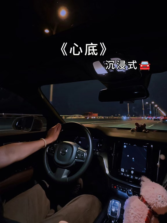 沉浸式🚘 |时间是个庸医，既没治好我的平庸 也没抚平我心底的伤痛 #沃尔沃s60 #沉浸式开车 #我