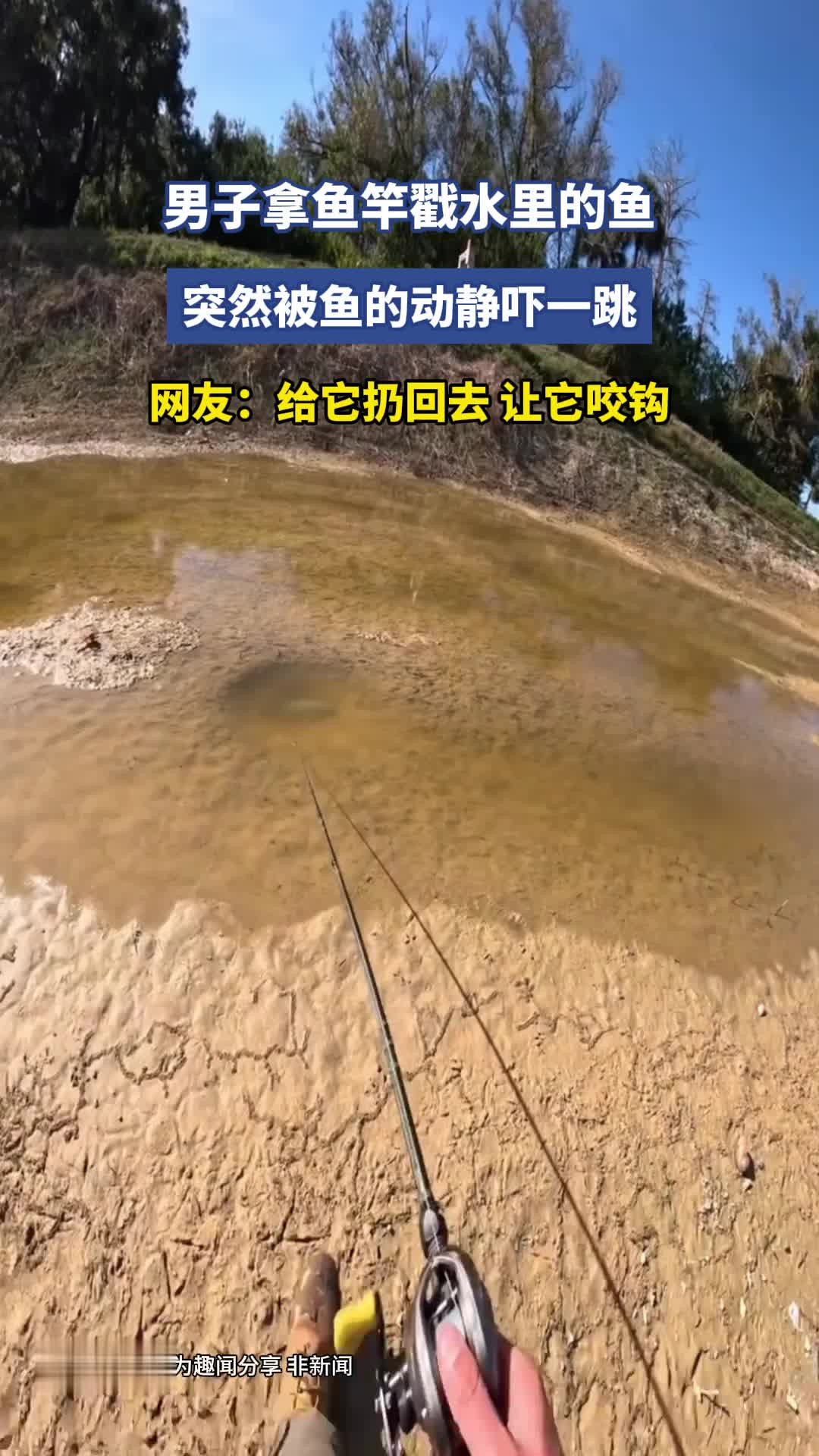 男子拿鱼竿戳水里的鱼，突然被鱼的动静吓一跳，网友：给它扔回去，让它咬钩