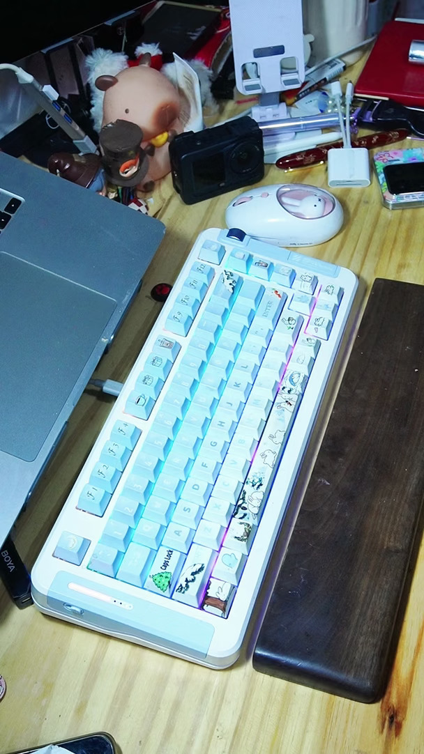 我的电子玩具