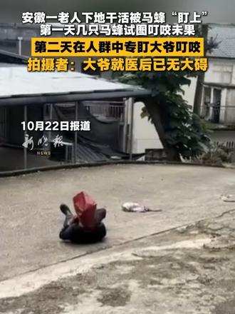 安徽一老人下地干活被马蜂“盯上”第一天几只马蜂试图叮咬未果，第二天在人群中专盯大爷叮咬，拍摄者：大爷