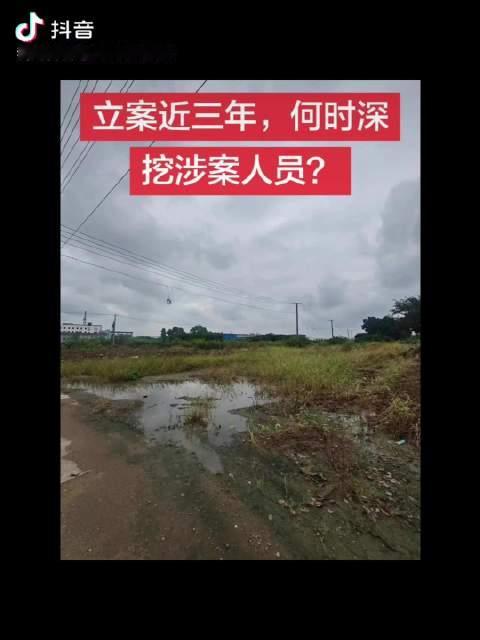 房屋被非法强拆，刑事早已立案。 线索指向礼嘉镇公职人员。 期盼公安深挖线索，依法追责。 坚持合法维权