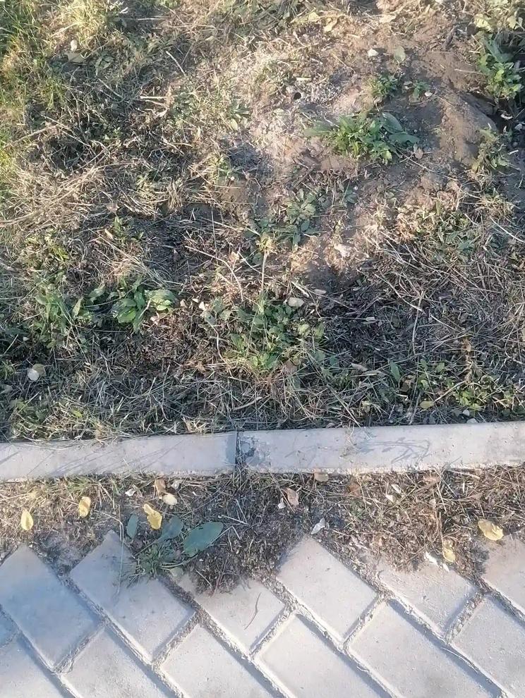 大美张掖润泉湖公园的健身广场是一个健身的好地方！有时间一定去健身