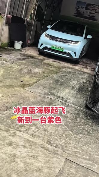 冰晶蓝海豚起飞新到一台紫色 第二台冰晶蓝海豚起飞，新到一台紫色，也很特别，关键是价格还比较温柔，元P