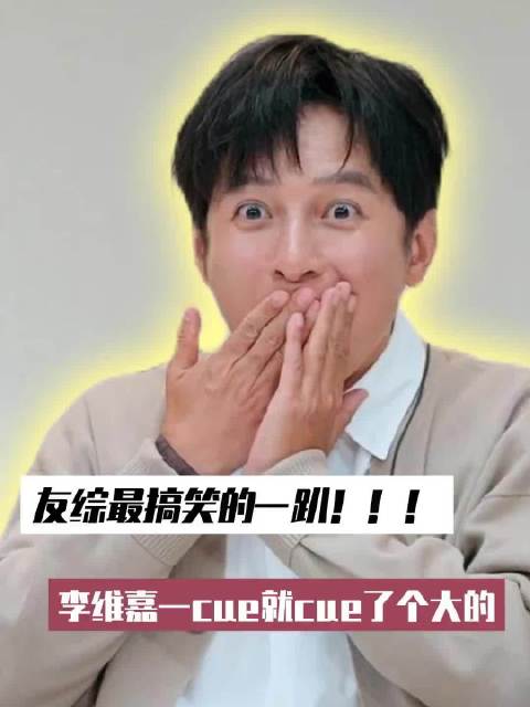 友综最搞笑的一趴！！李维嘉一cue就cue了个大的#李维嘉 #黄子弘凡 ……#周笔畅 #苏醒……  