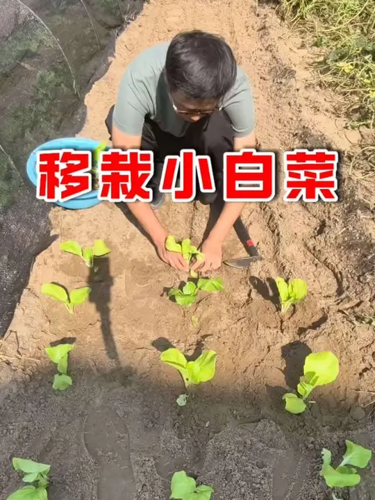 工具趁手了，干活效率就是高