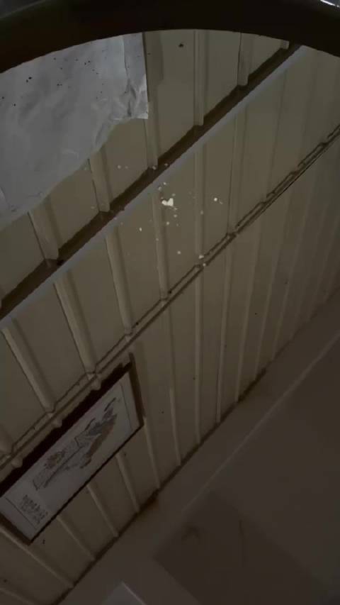 #夏说[超话]# 什么时候看到这个取香油能挪动步不看啊🤔  ​​​