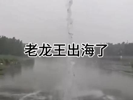 老龙王出海了
