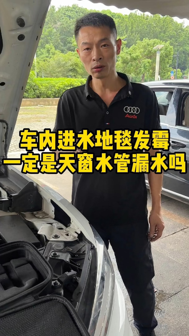 奥迪A6L进水地毯发霉，是天窗水管漏水吗？