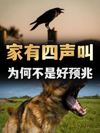 俗语“家有四声叫，不是好预兆”，是哪四声，有没有依据？ （1）