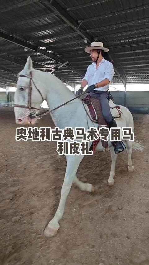 这就是哈布斯堡王室选育出来的，也是迪士尼《白马的奇迹》里的马，更是大家熟知的独角兽原型