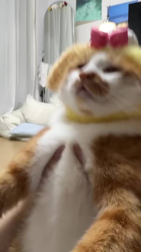 故意掉床缝听两个小时  ​​​