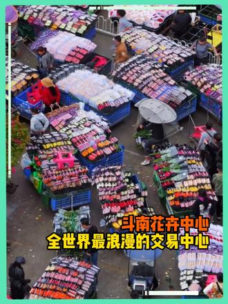 斗南花卉交易中心——堪称全世界最浪漫的交易赛场