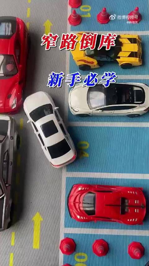#新能源君#【汽车知识】网友：谁有这么好的技术，除非有人指挥，不然老担心刮到别人的车，无法施展这个技