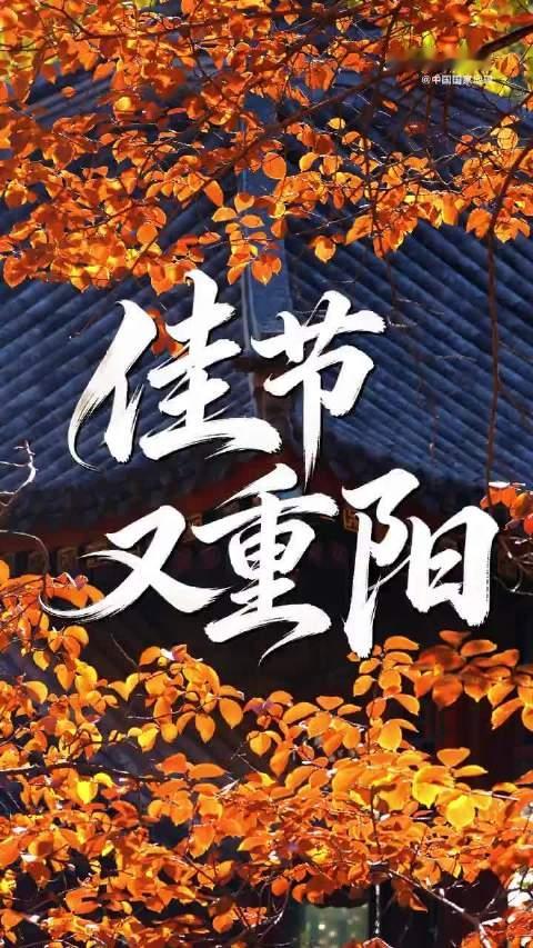 #京东给60岁老人发重阳补贴#重阳节，最好的祝福是陪伴。人间九月九，又逢重阳秋，古人以“九”为阳数，