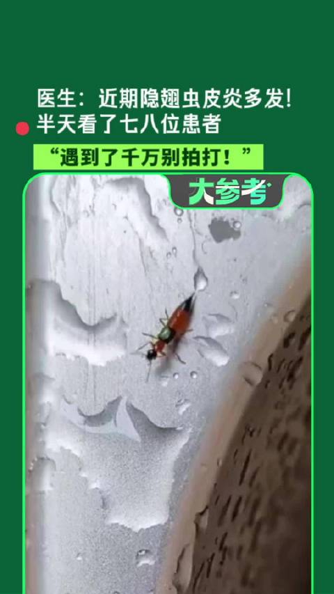 【遇到隐翅虫千万别用手拍打！#女子用手拍打隐翅虫后全身多处溃烂】