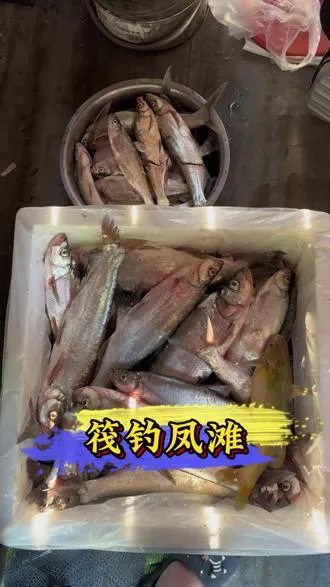 山水间，一杆一线，钓的是鱼，悟的是人生。