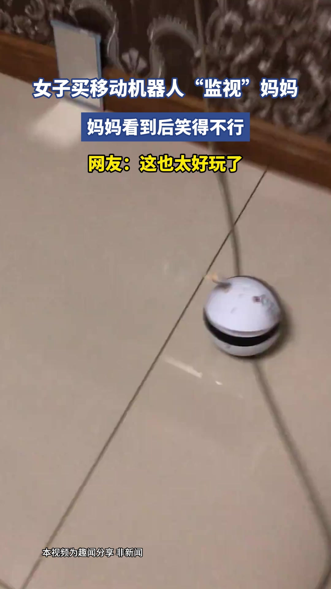 女子买移动机器人“监视”妈妈，妈妈看到后笑得不行，网友：这也太好玩了