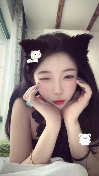 人生就是猫猫又咪咪