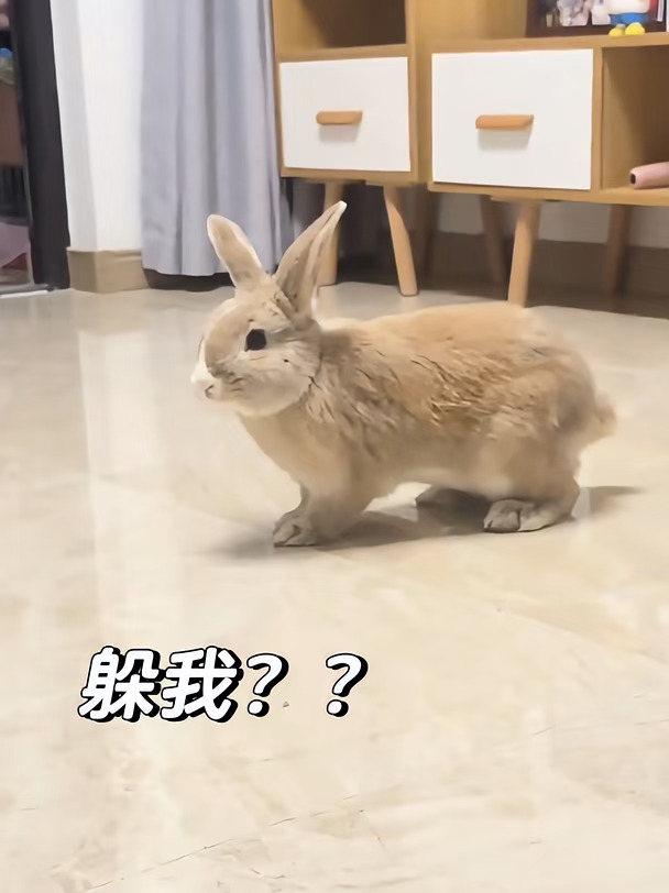 发朋友圈没人懂 ，发小红书一定有人懂