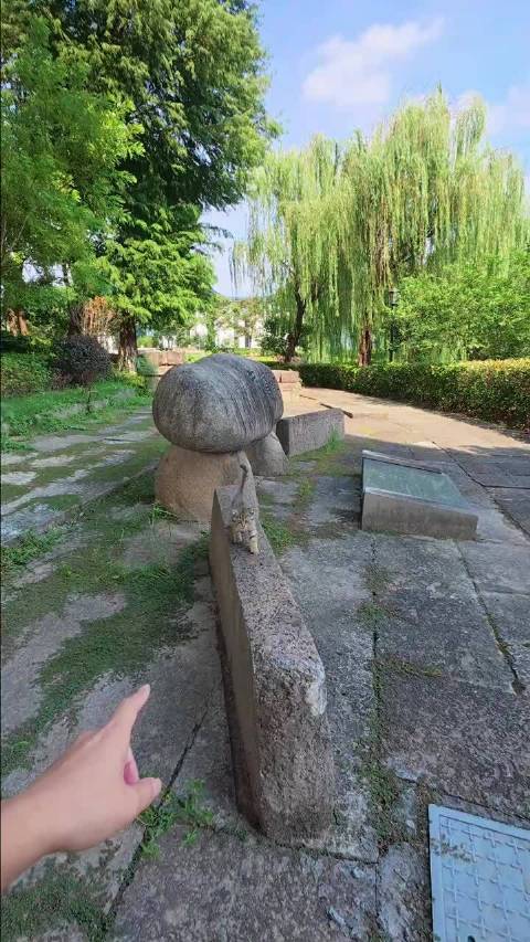 小猫：人 请还原我的美貌 ​