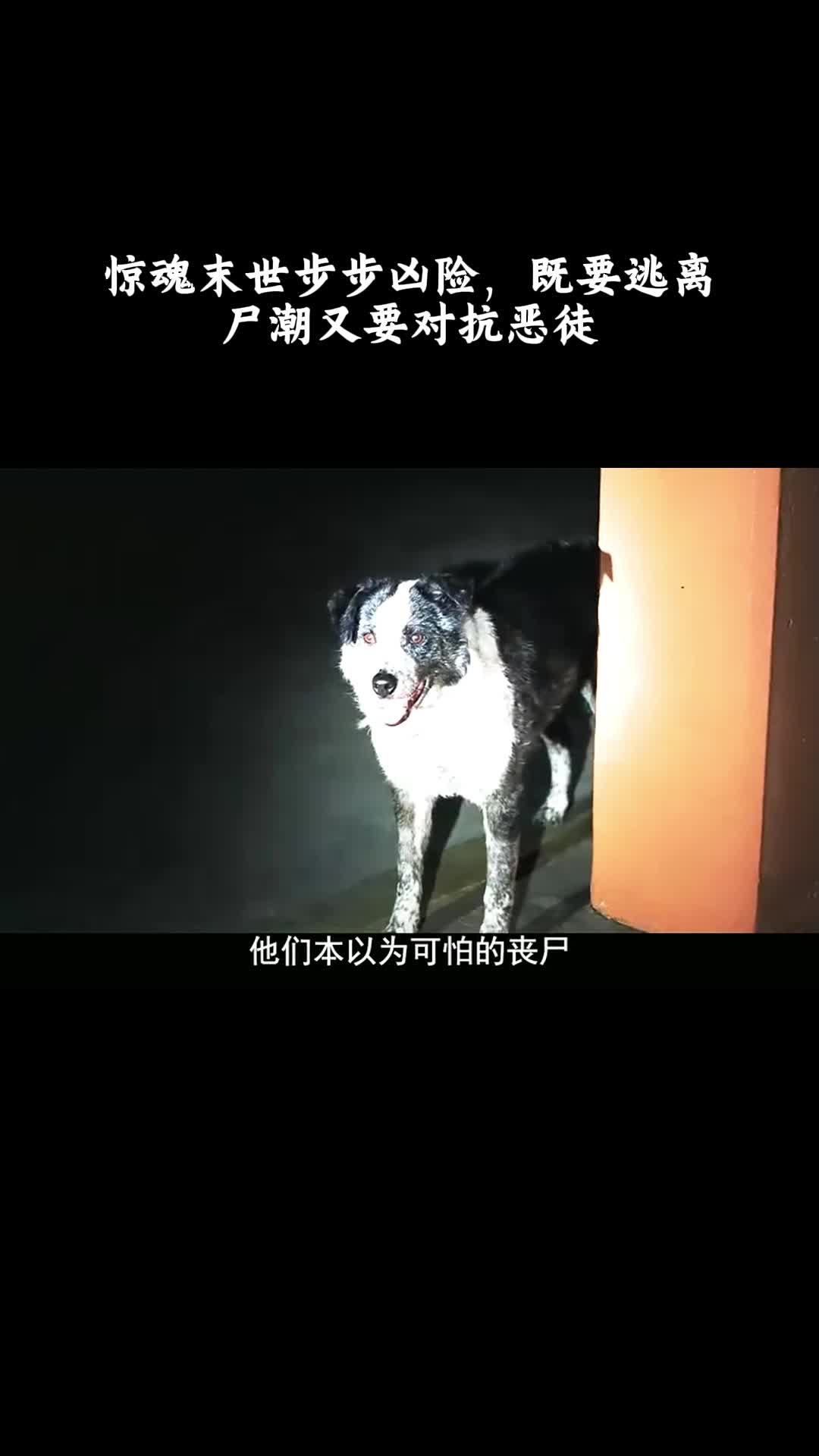 活死人黎明：惊魂末世步步凶险，既要逃离尸潮又要对抗恶徒