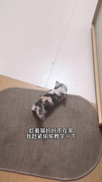 你们说猫妈妈回来会不会打我呀？