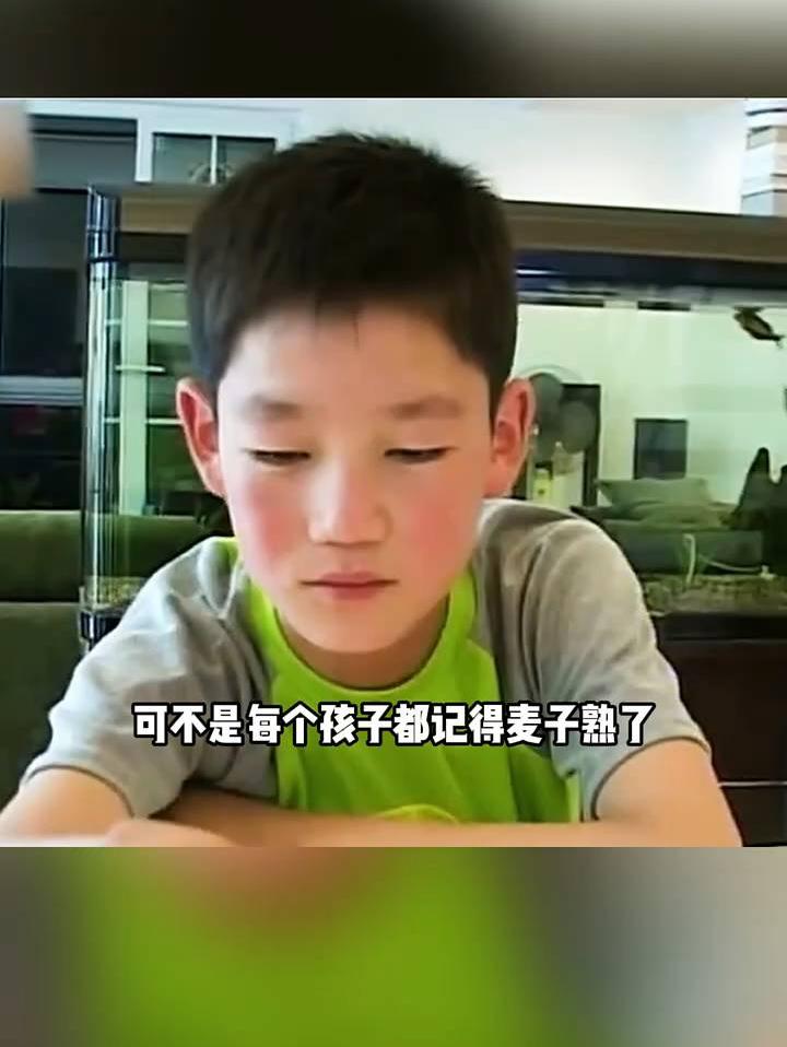 不是每个孩子都记得麦子熟了