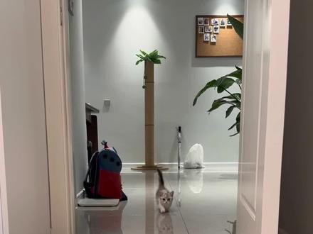 不是我叫我媳妇，你来干啥？