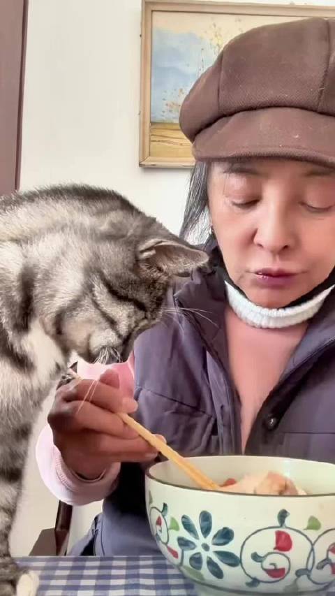 李勤勤真的超疼爱她收养的小动物