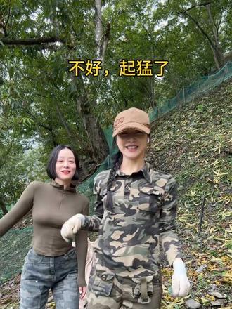 不好，起猛了，捡山核桃过于亢奋