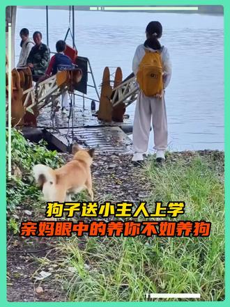 这要是没考上，全家最伤心的是狗啊！     cr